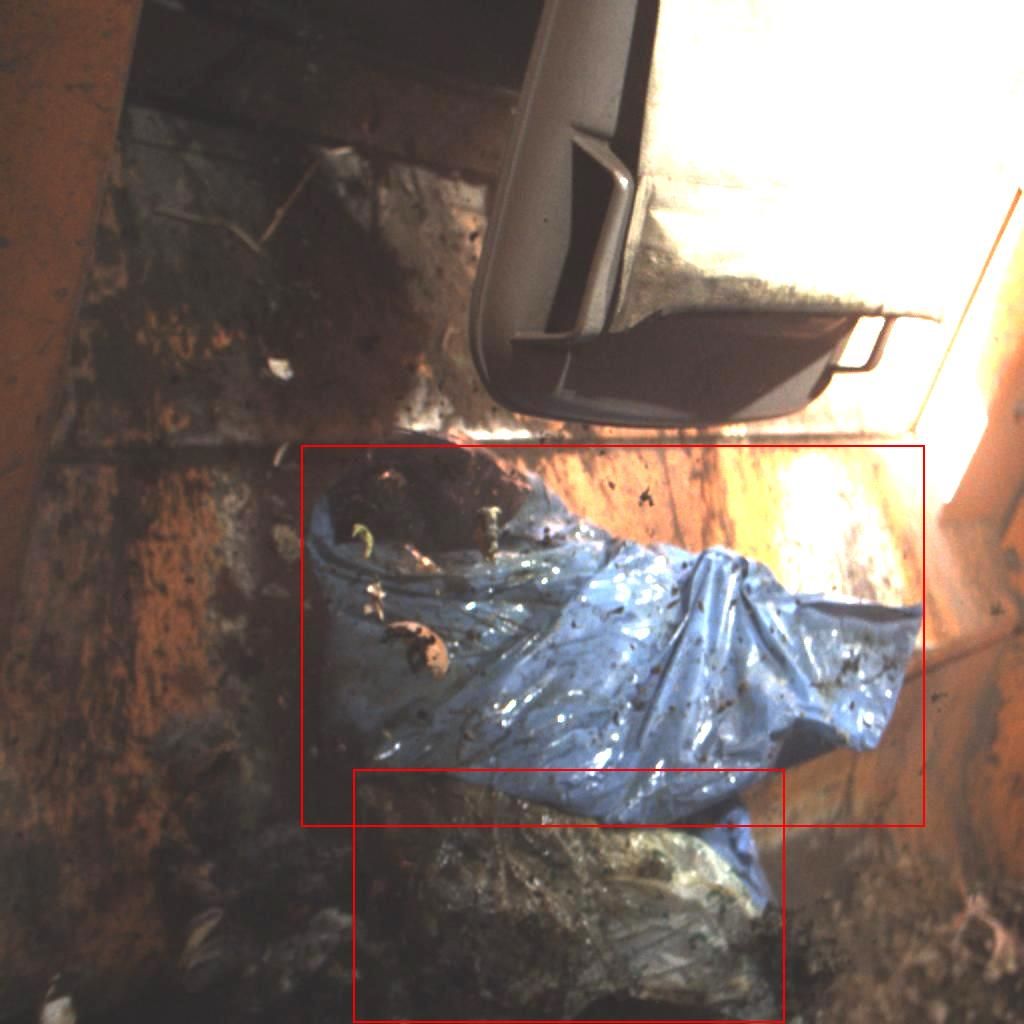 Störstoff-Foto im Schüttraum des Biomüllfahrzeuges Buchsbäume, die mit dem Zünsler befallen sind, dürfen im Landkreis Uelzen über die Biotonne entsorgt werden.