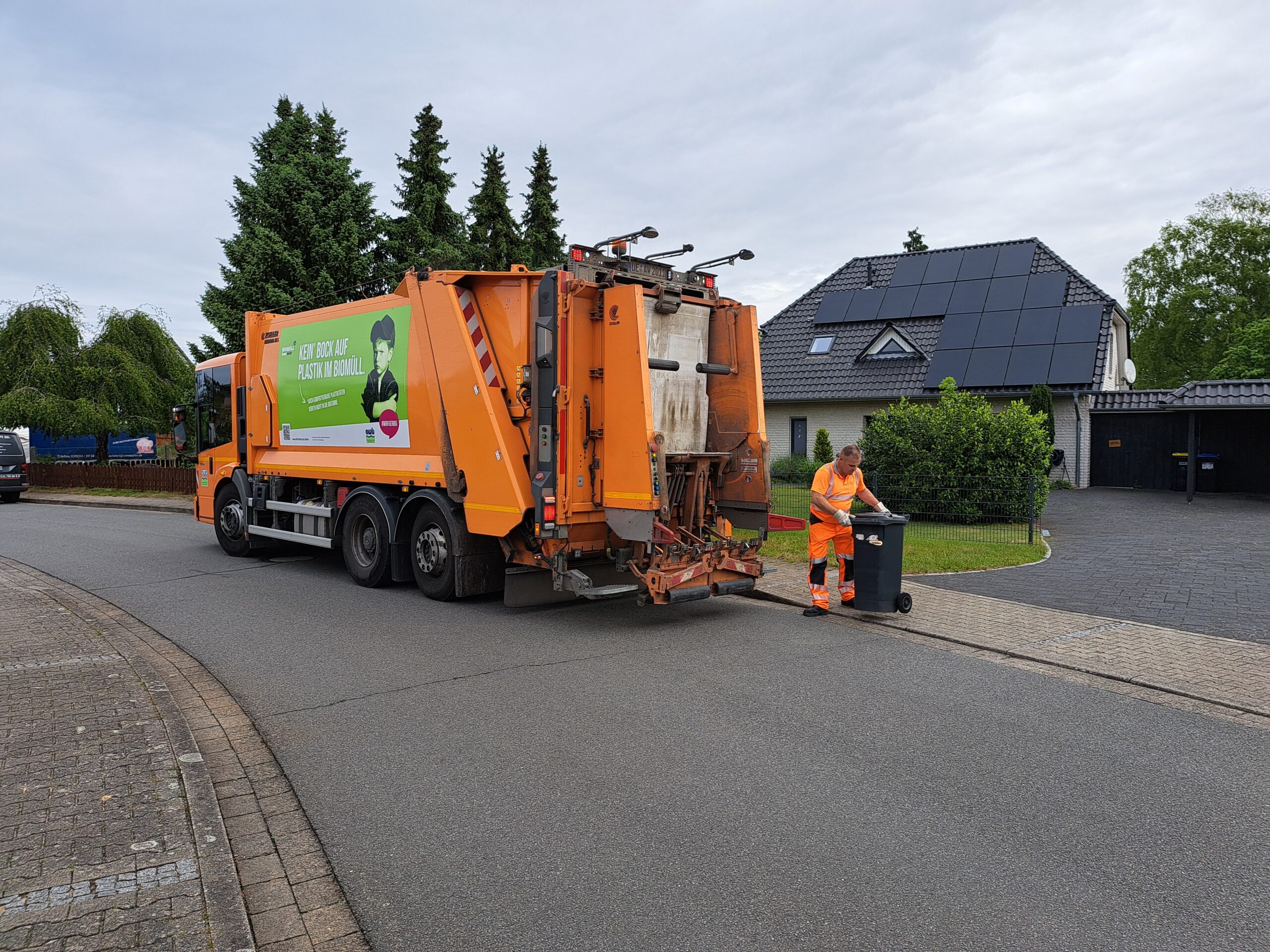 Aktuell macht eine gelb blühende Pflanze mit ähnlichen Blüten wie die Margerite von sich reden. Sie ist für Pferde gefährlich, da sie Giftstoffe enthält. Entsorgt werden darf sie im Landkreis Uelzen in der Biotonne.